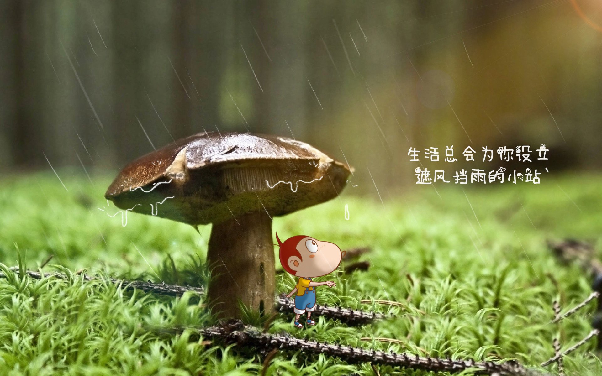 九游电脑版-_森林狼队团结一致，继续争夺胜利_，森林狼团队口号